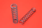 119-17 HARLEY JD INTAKE VALVE SPRINGS 1917-1923 TWINS