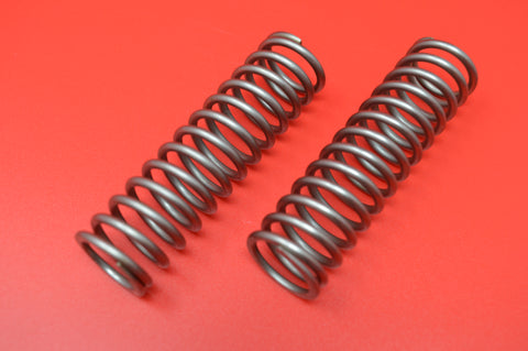 FM-100 FLYING MERKEL VALVE SPRINGS 1910 +