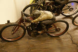 Gallery 1